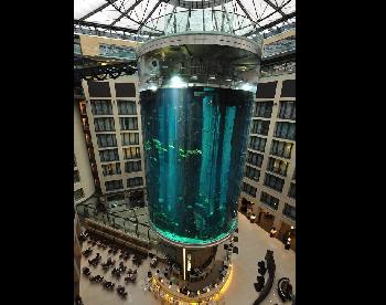Weltgrößtes Aquarium in Berlin explodiert [Video]