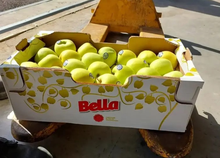 IDF-Soldaten Erhalten Ausländisches Obst und Gemüse Trotz Lokaler Boykottbewegung