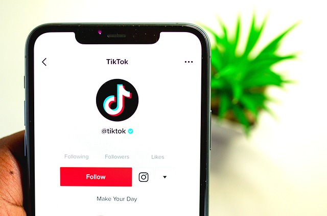 TikTok als Treiber von Hass: Wie die Generation Z pro-palästinensische Proteste verstärkt