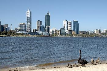 Antisemitische Schmierereien in Perth: Zwei Männer verhaftet und angeklagt